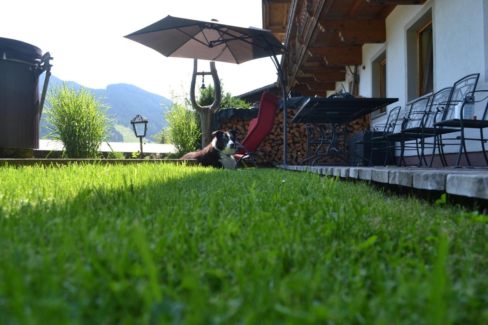Pusteblume Apartment Haus (Tyrol)