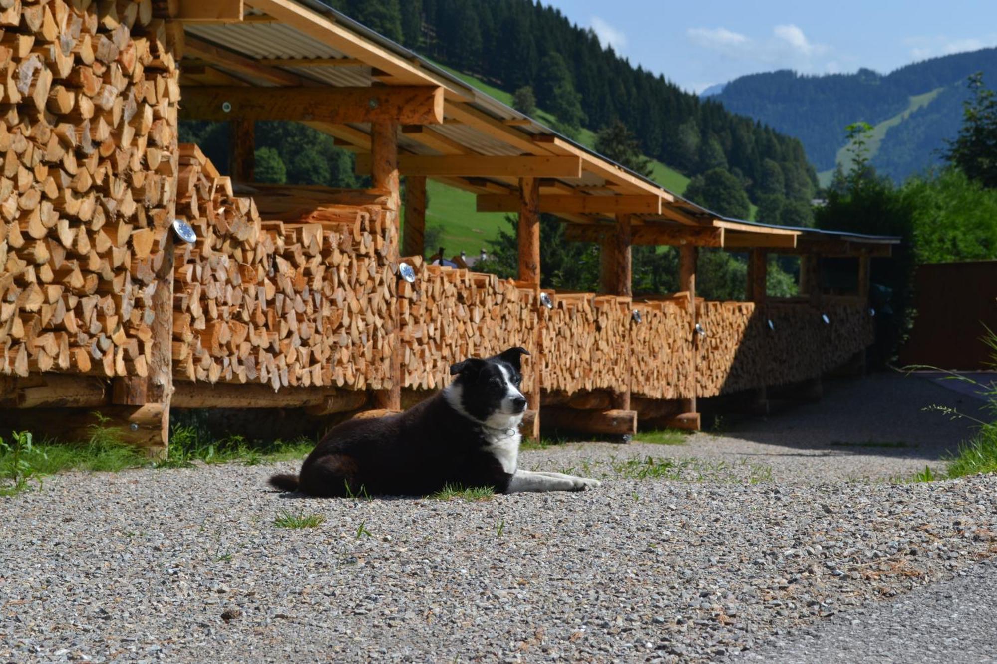 Pusteblume Apartment Haus (Tyrol)